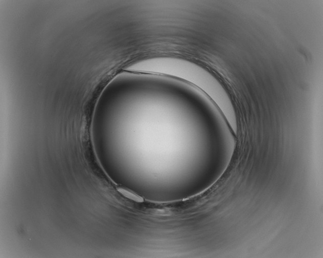 X0000113320411200909141359