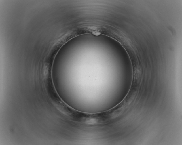 X0000113320412200909141359