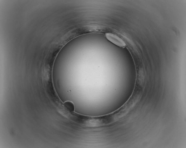 X0000113320413200909141359