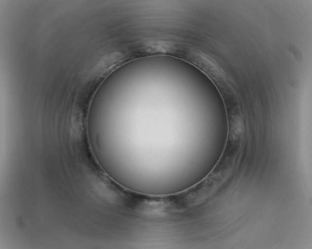 X0000113320414200909141359