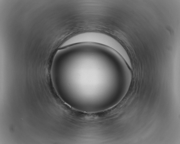 X0000113320415200909141359