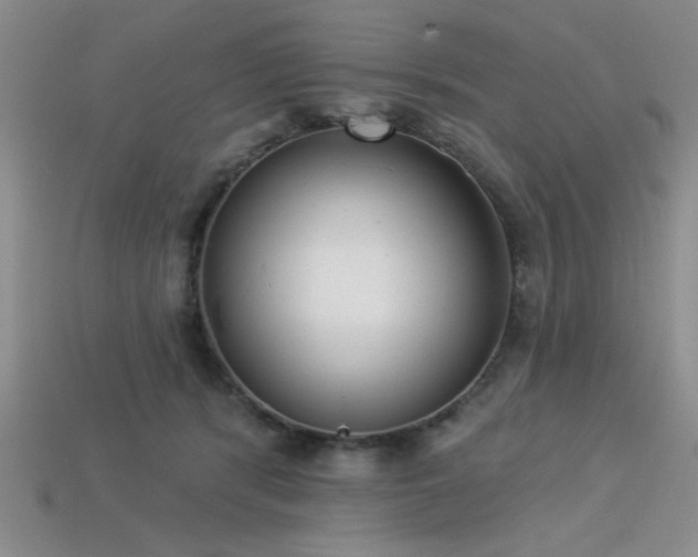 X0000113320416200909141359