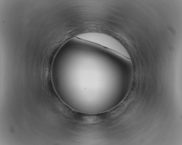 X0000113320417200909141359