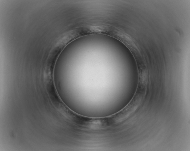 X0000113320418200909141359