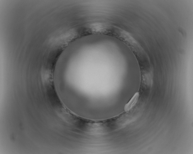 X0000113320419200909141359