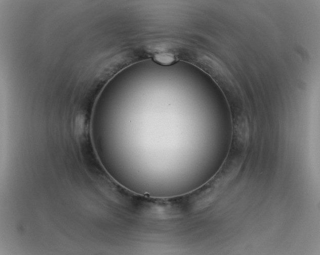 X0000113320420200909141359