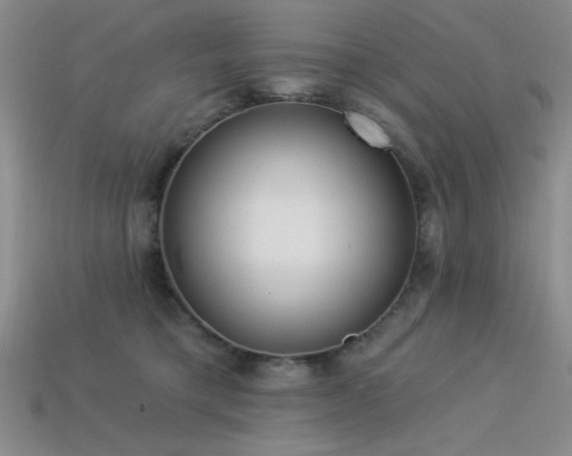 X0000113320421200909141359