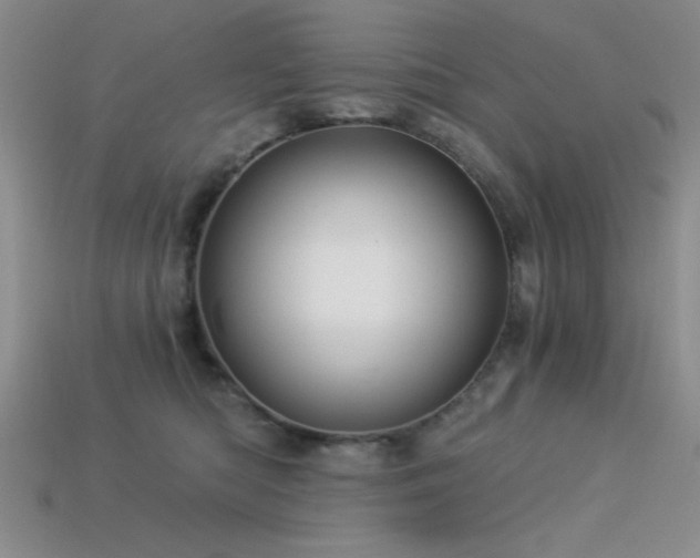 X0000113320422200909141359