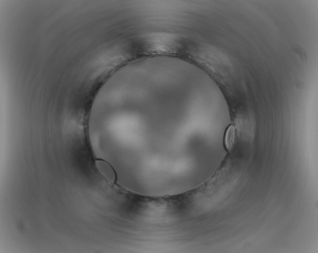 X0000113320423200909141359