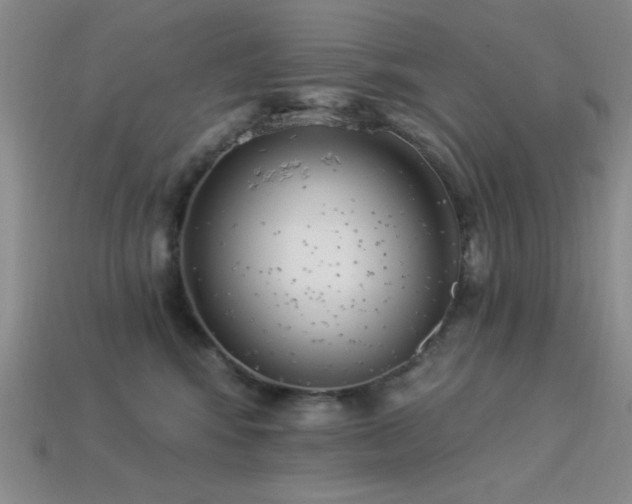 X0000113320424200909141359