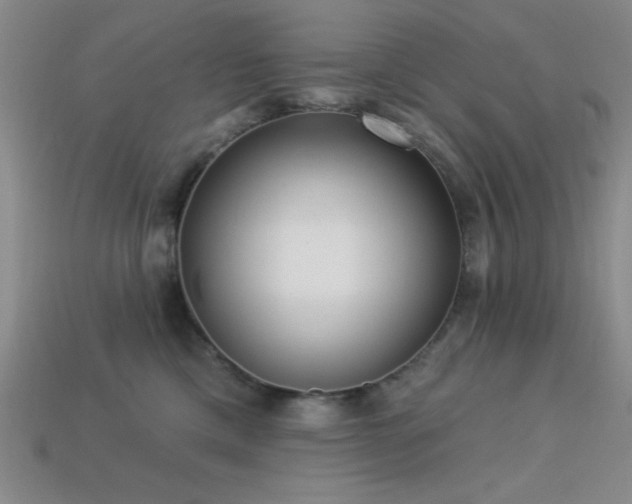 X0000113320425200909141359