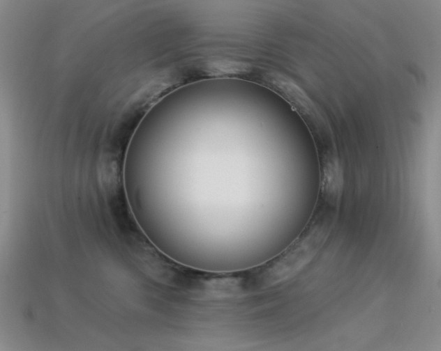 X0000113320426200909141359