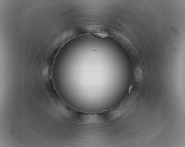 X0000113320428200909141359