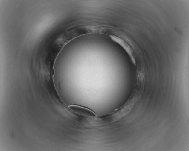 X0000113320429200909141359