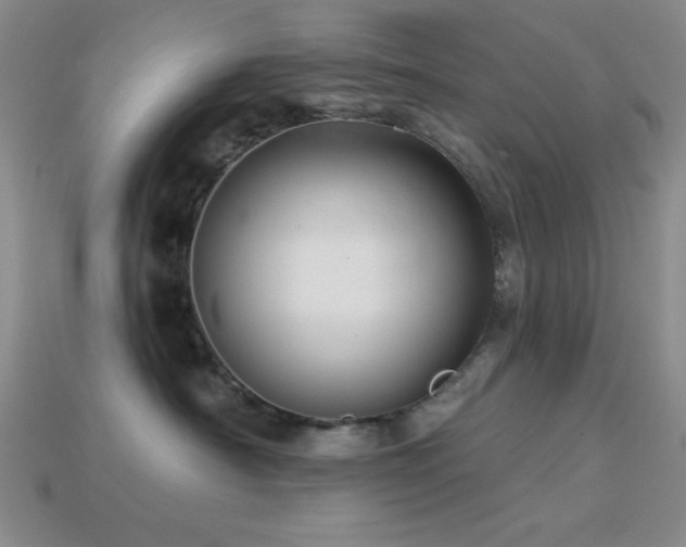 X0000113320430200909141359