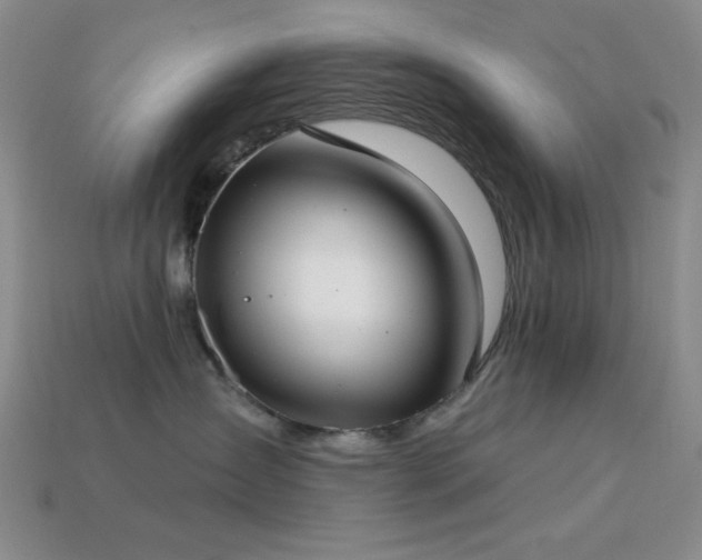 X0000113320431200909141359