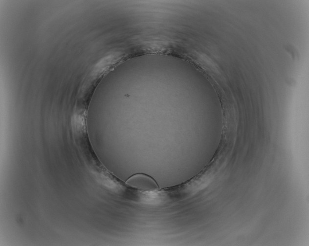 X0000113320432200909141359