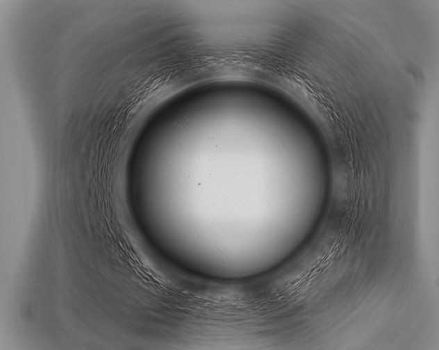 X0000113320433200909141358