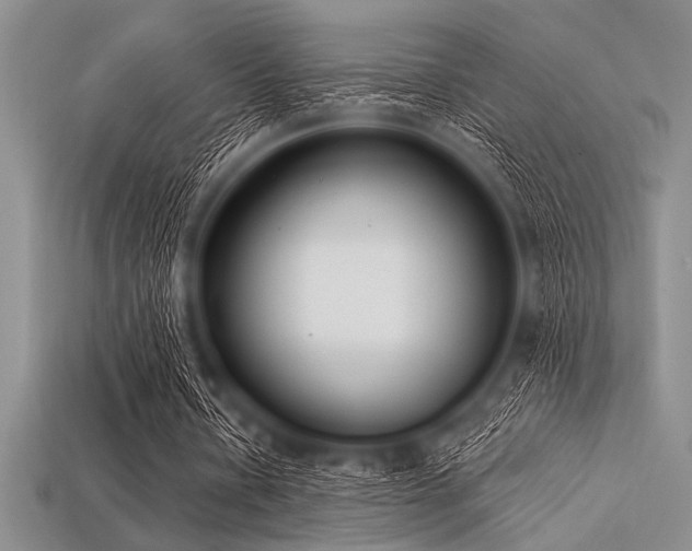 X0000113320434200909141358