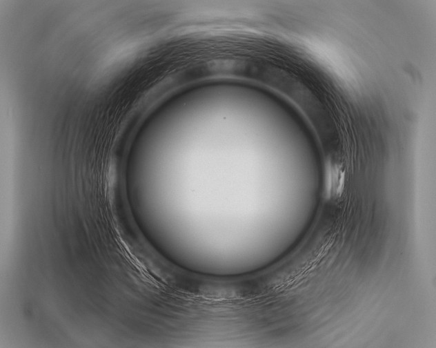 X0000113320435200909141358