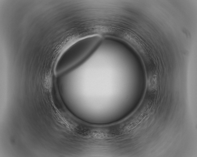 X0000113320436200909141358