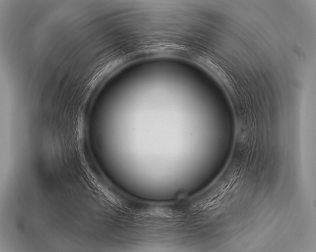 X0000113320437200909141358