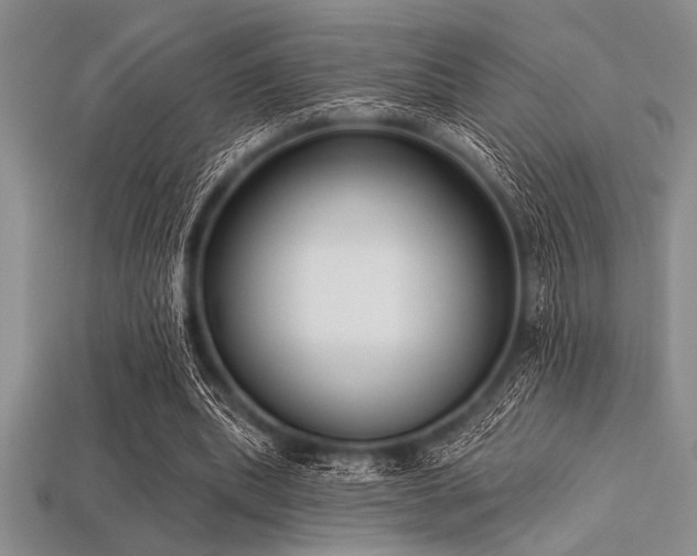 X0000113320439200909141358