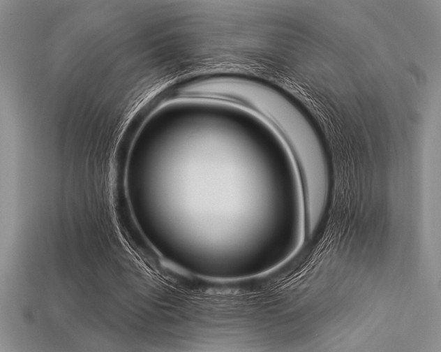 X0000113320440200909141358