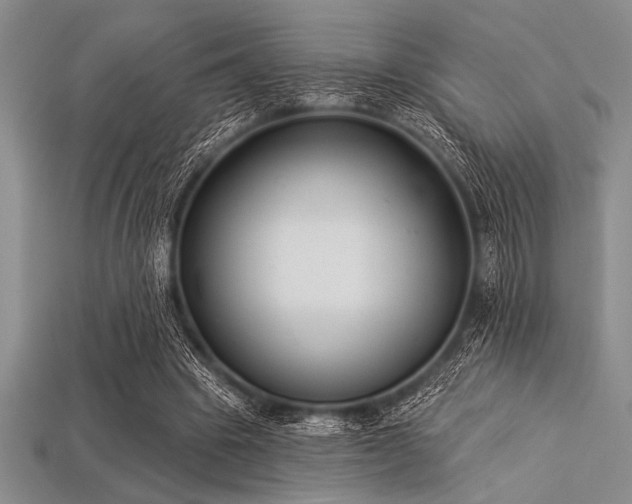 X0000113320441200909141358