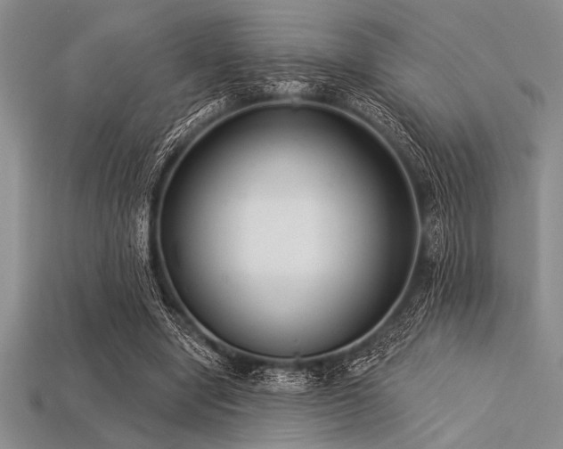 X0000113320442200909141358