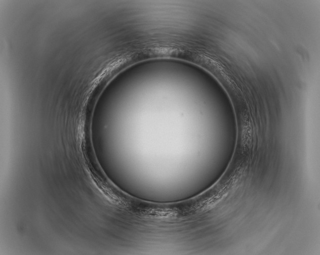 X0000113320443200909141359