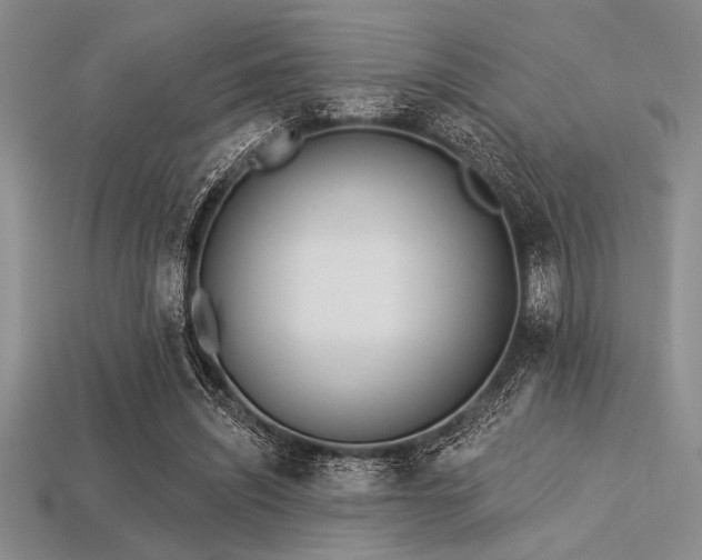 X0000113320444200909141359