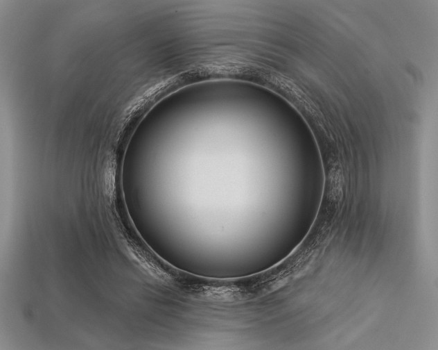 X0000113320446200909141359