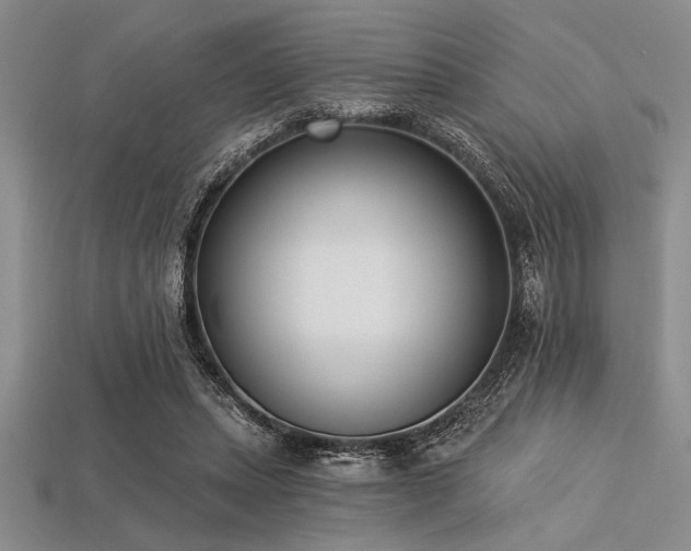 X0000113320447200909141359