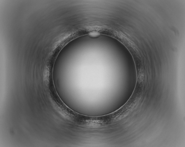 X0000113320448200909141359