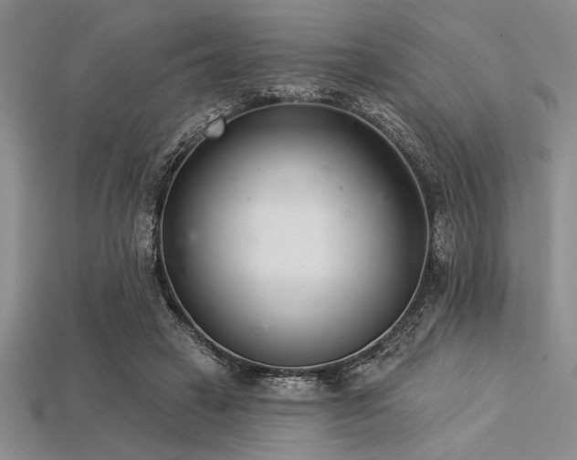 X0000113320449200909141359