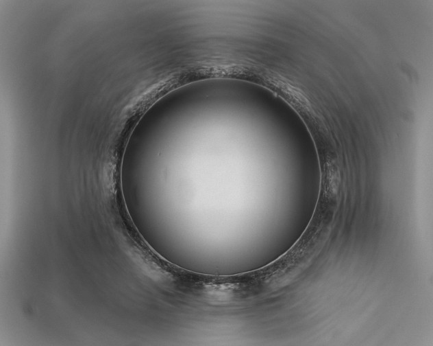 X0000113320450200909141359