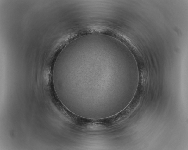 X0000113320451200909141359