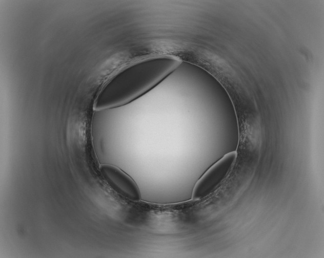 X0000113320452200909141359