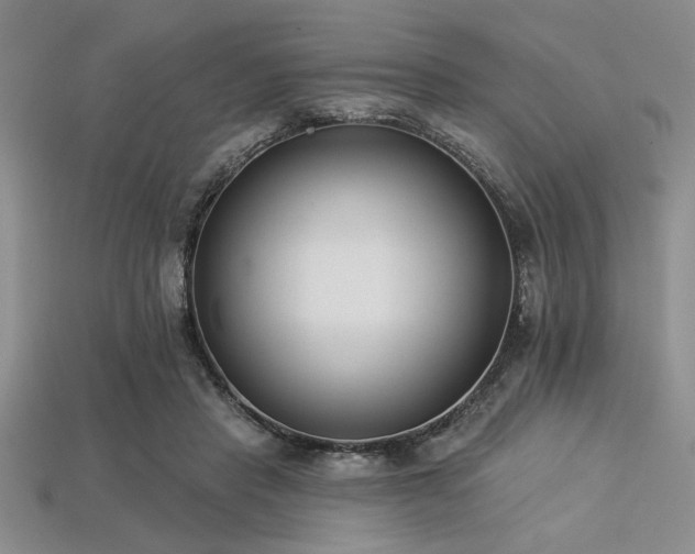 X0000113320453200909141359