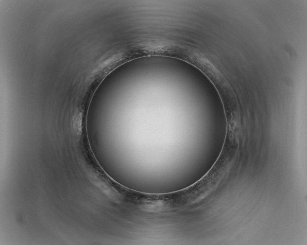 X0000113320454200909141359