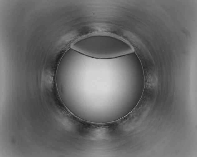 X0000113320456200909141359