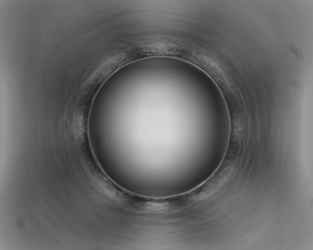 X0000113320457200909141359