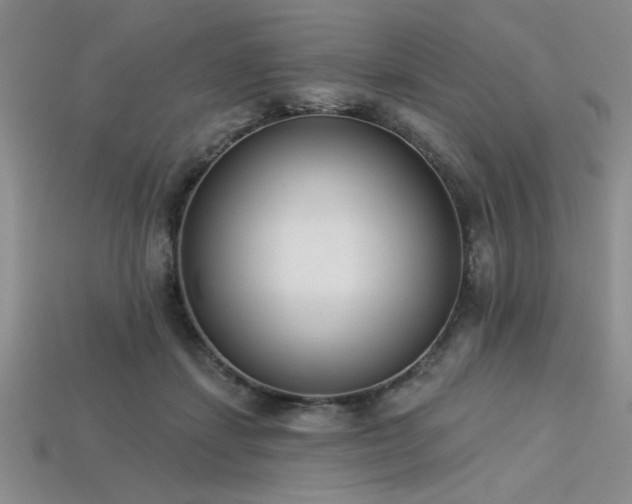 X0000113320459200909141359