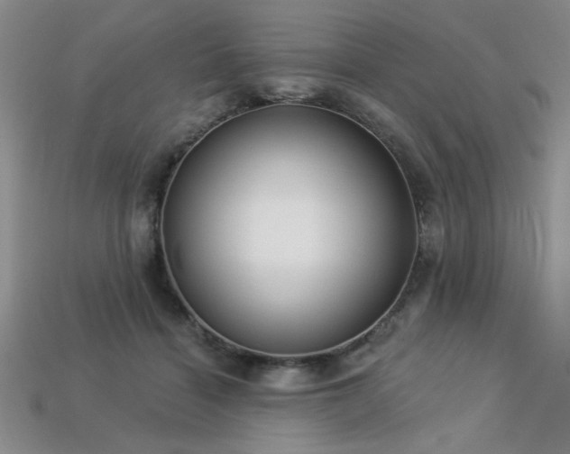 X0000113320460200909141359