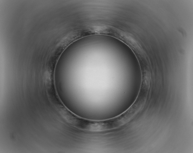 X0000113320461200909141359