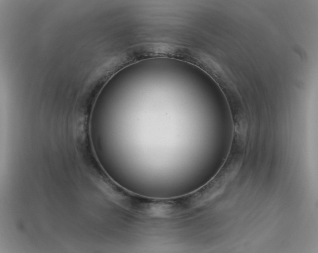 X0000113320462200909141359