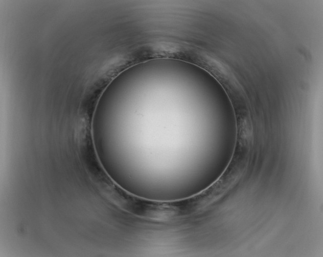 X0000113320463200909141359