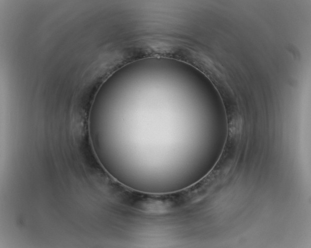 X0000113320464200909141359