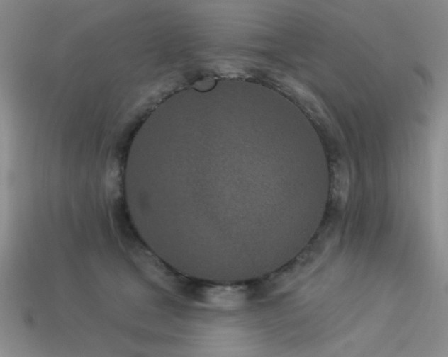 X0000113320465200909141359